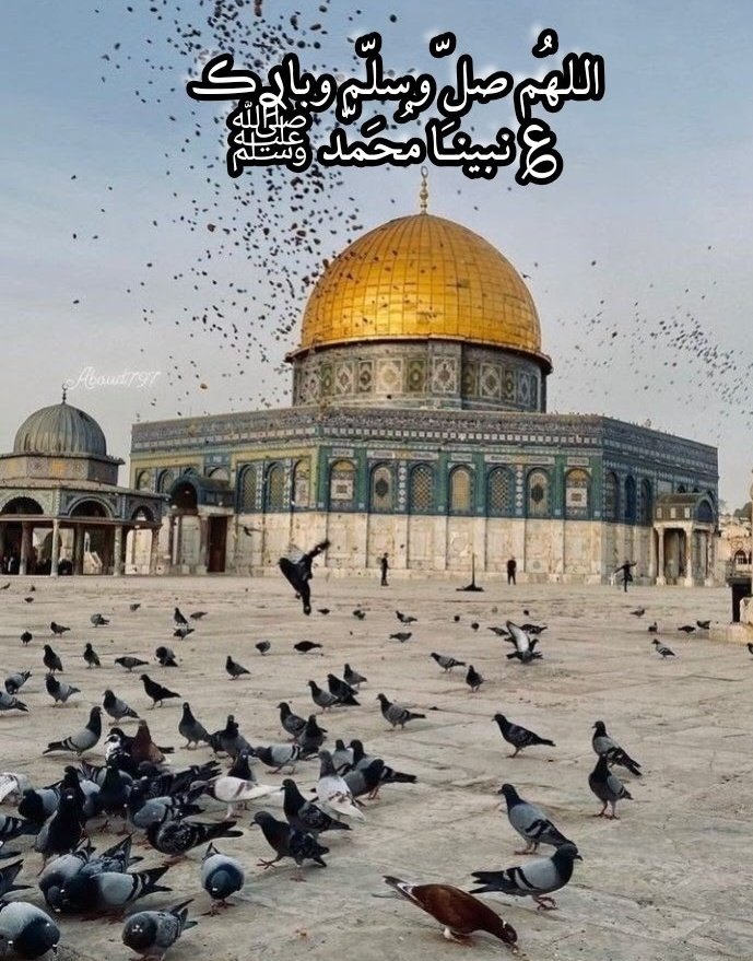 مـحمـودعبدآلظـآهہ‏‏ر ✨🦅✨ tweet media