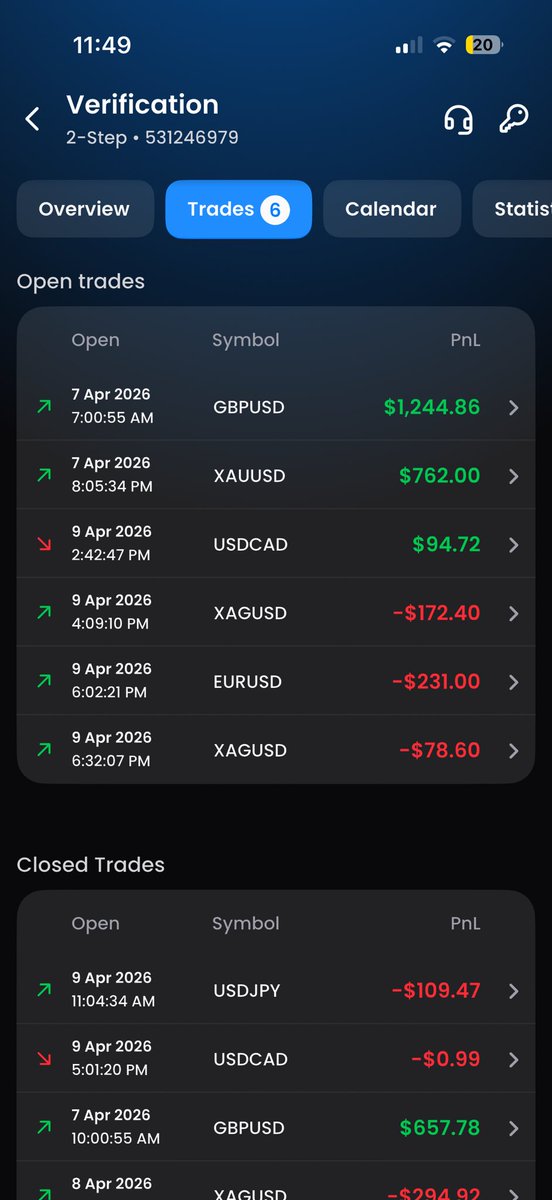 MishaFlow tweet media