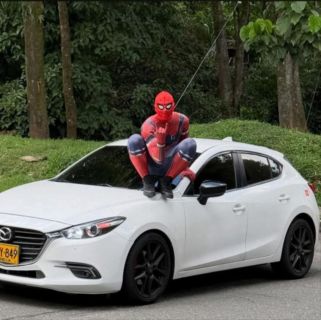 DIMAS AYALA 📌📸 tweet media