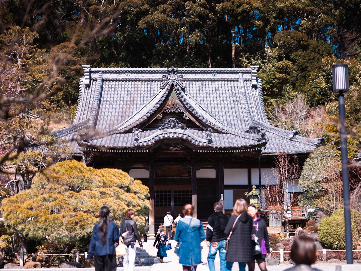 wesptwt's tweet photo. 修善寺 https://t.co/OtJFQr66nM