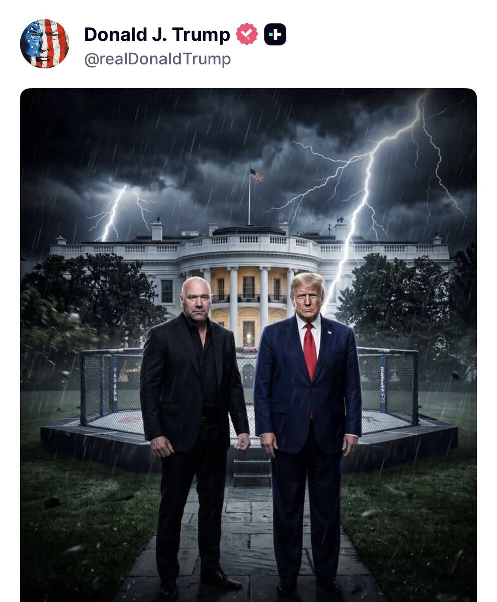 ALX 🇺🇸 tweet media