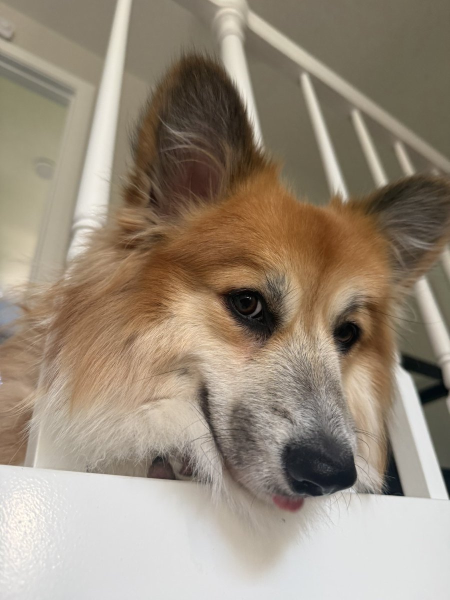 The face I make whenever I’ve implemented something utterly bonkers in our cool little Diablo game.