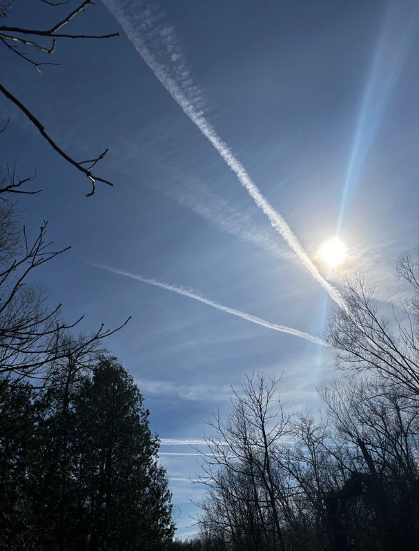 Battle Dwarf tweet media