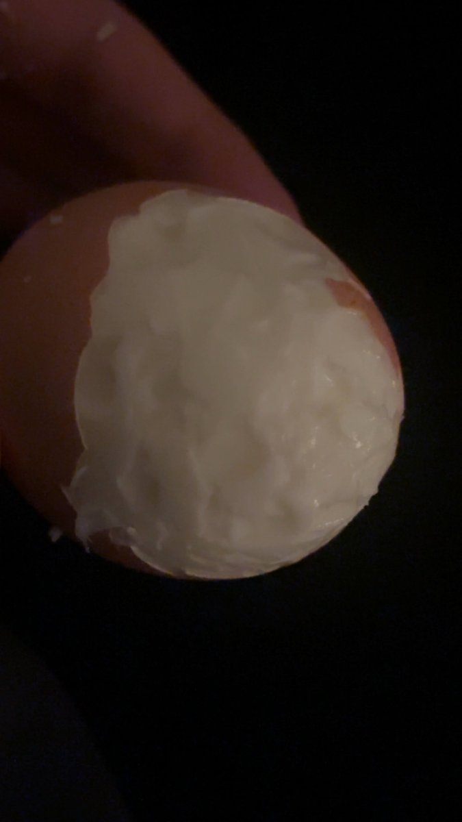 boredddkitten tweet media