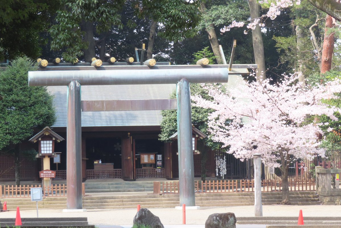 ろく(痛風持ち んがっ❗) tweet media