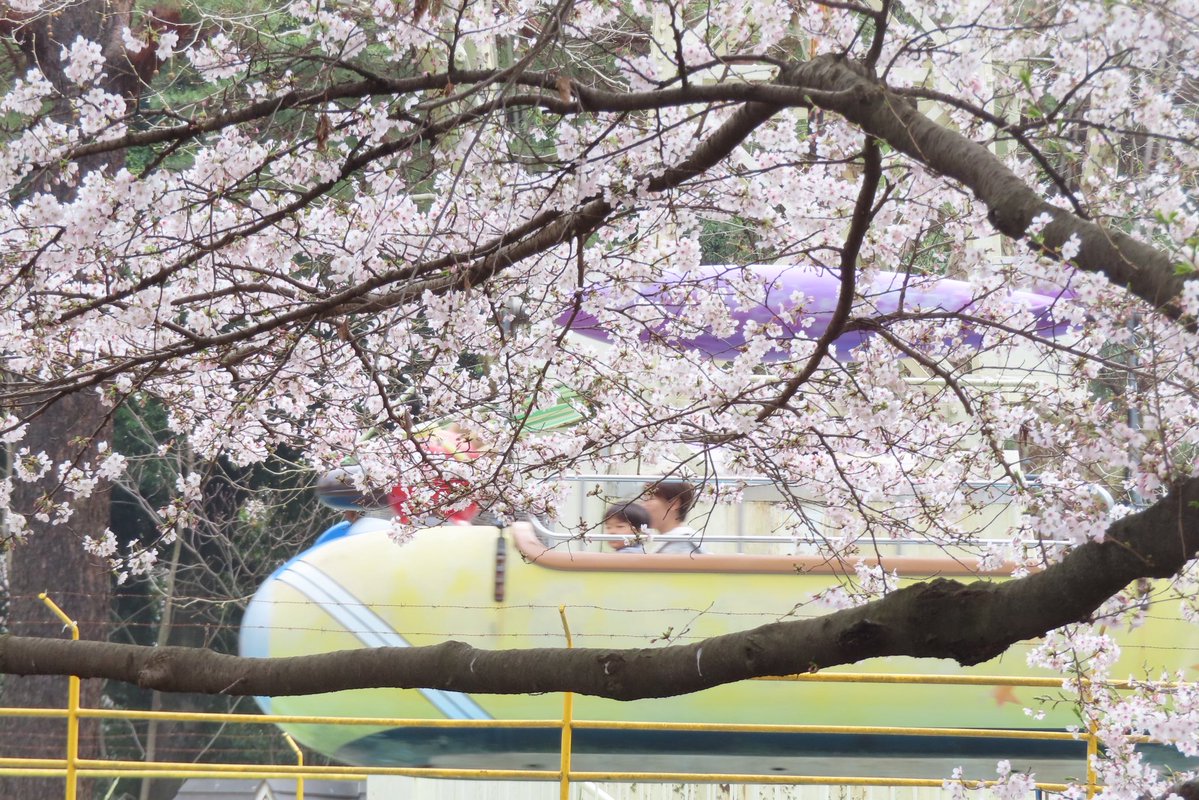 ろく(痛風持ち んがっ❗) tweet media