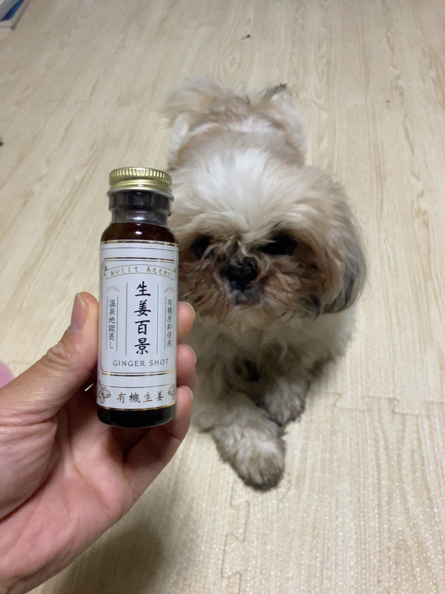 ひろし tweet media