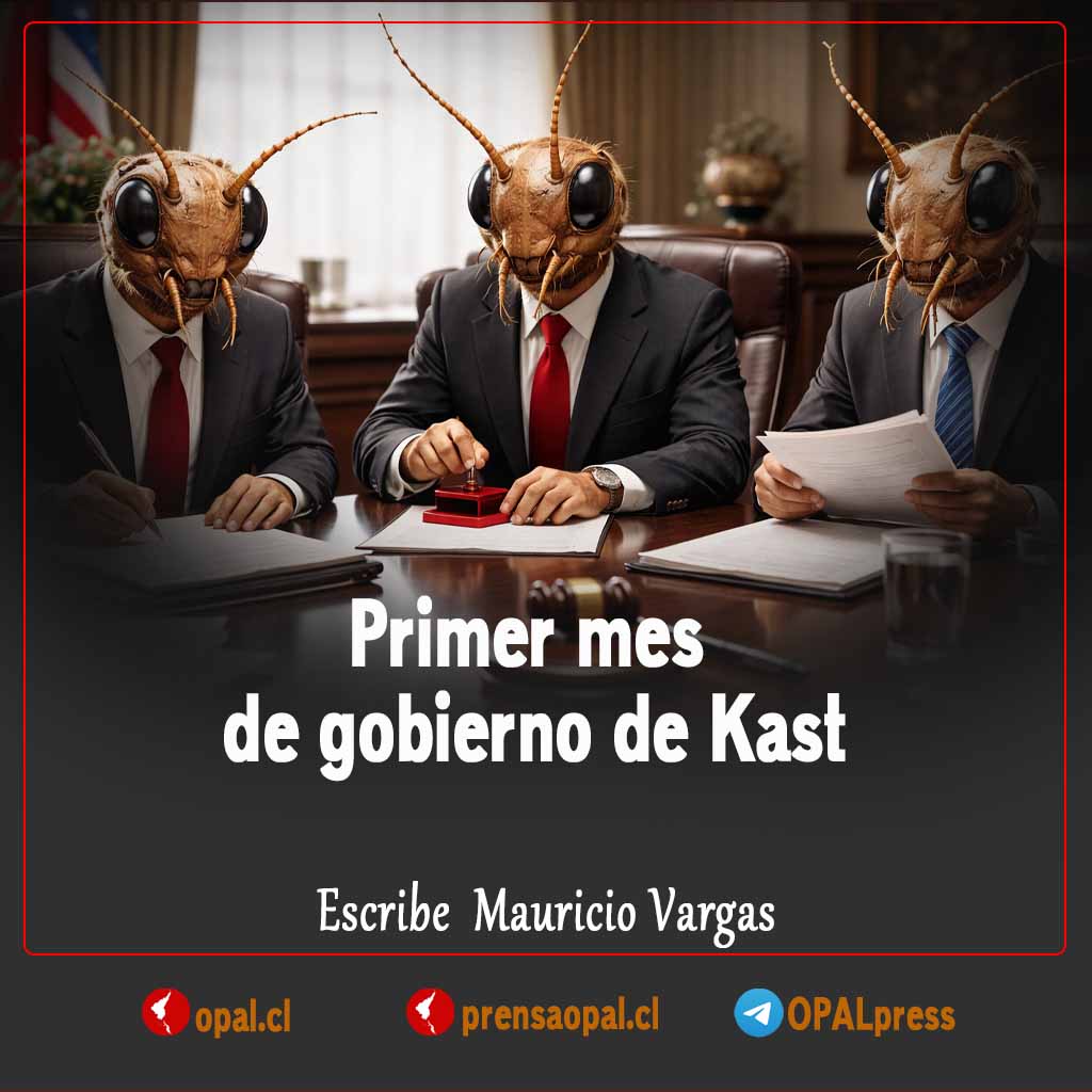 OPAL prensa tweet media