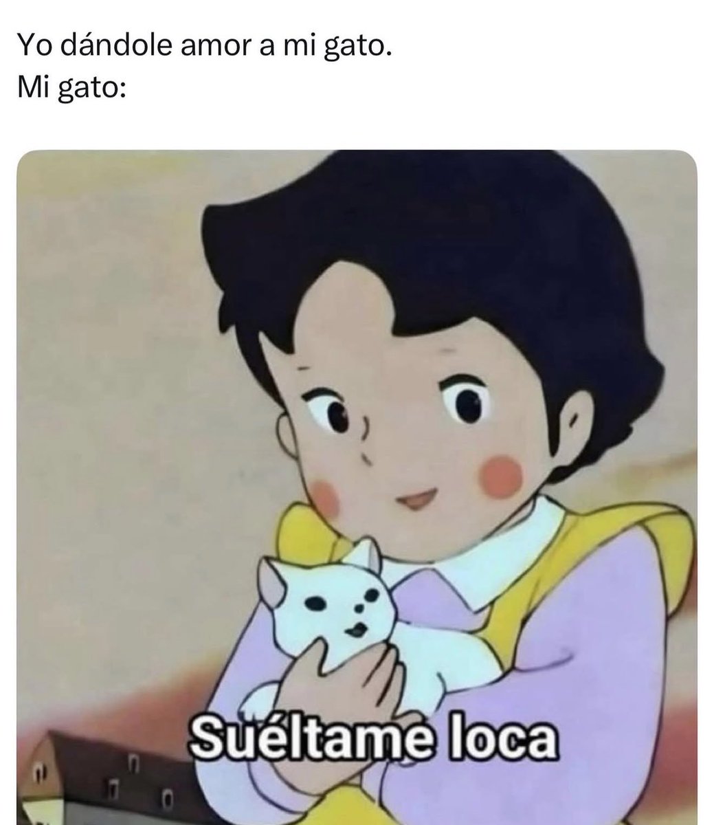 Papita Criolla ☻ tweet media