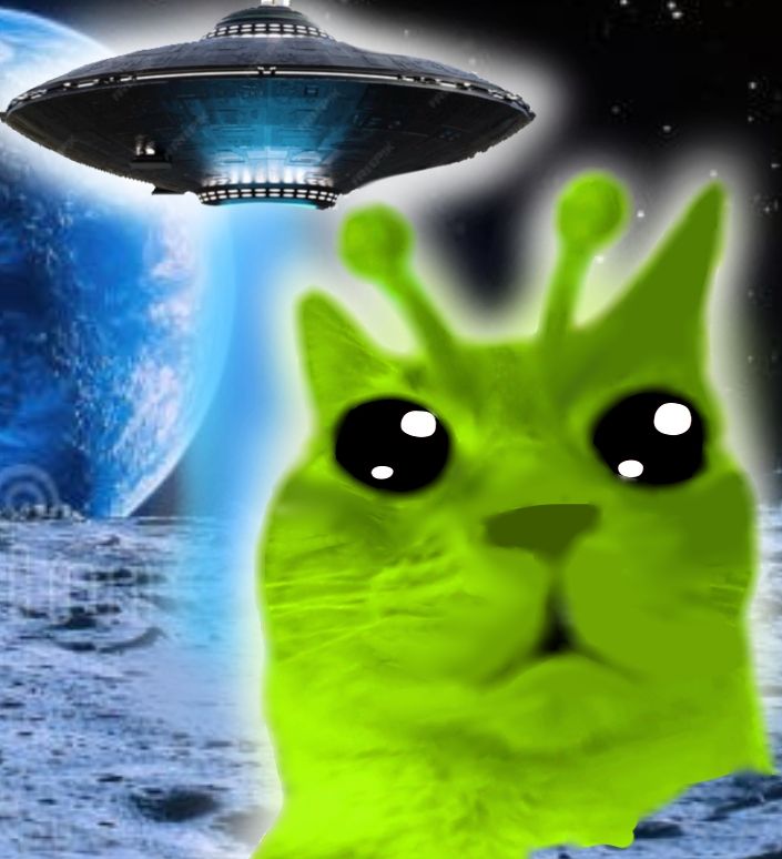 Brandon ッ tweet media