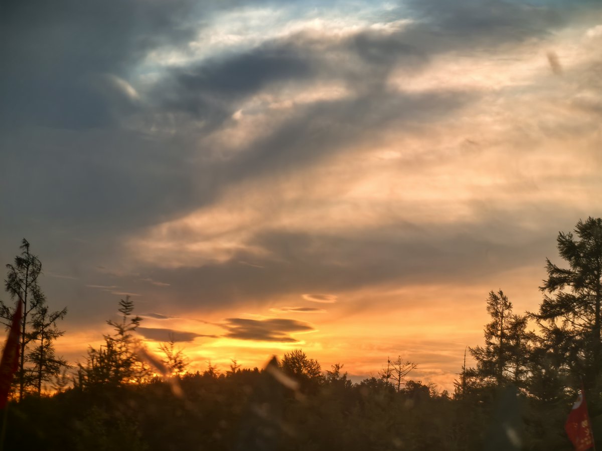 leeloo movie reviews tweet media