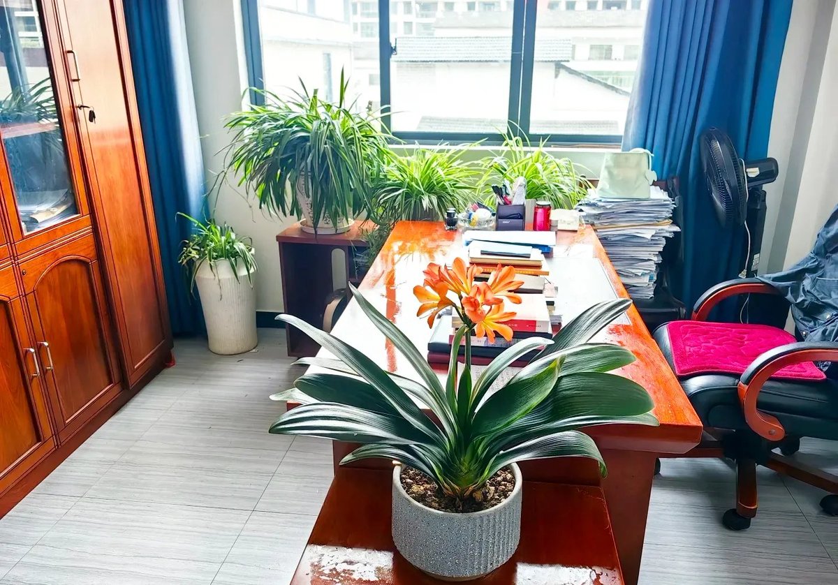 shubham jain tweet media