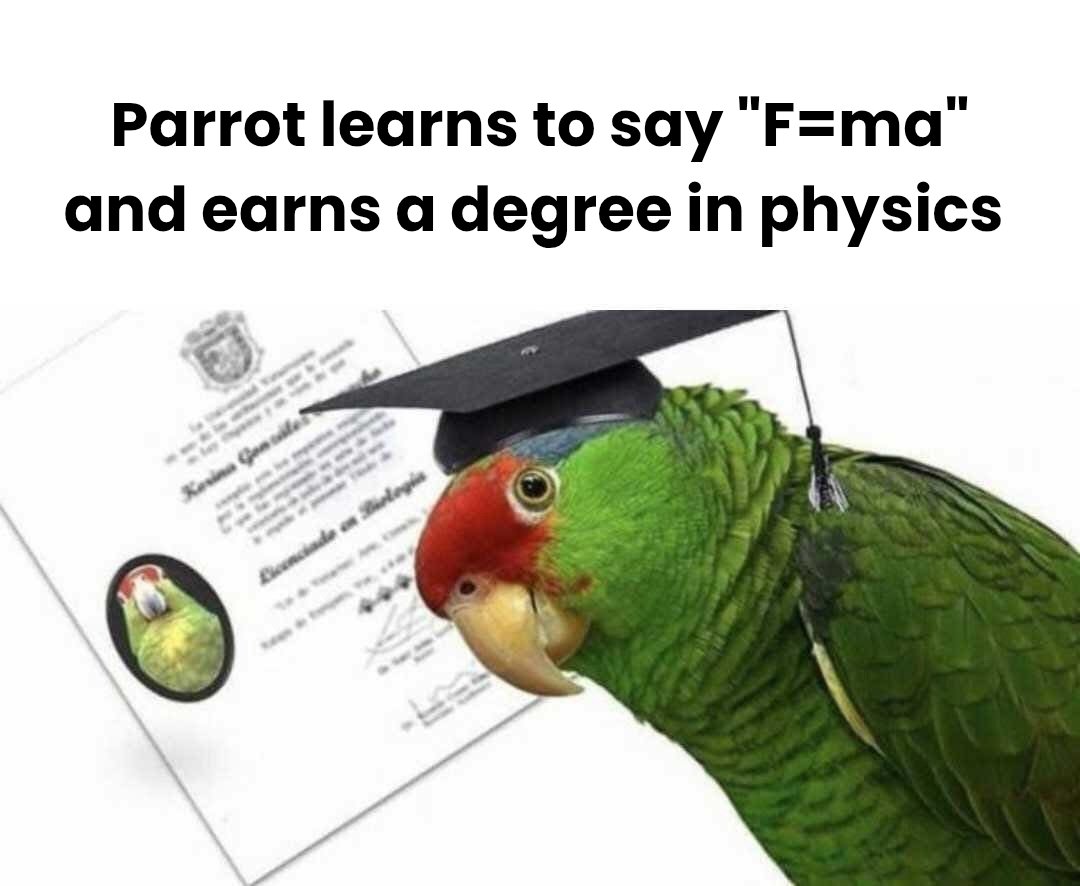 mar 🥭 tweet media