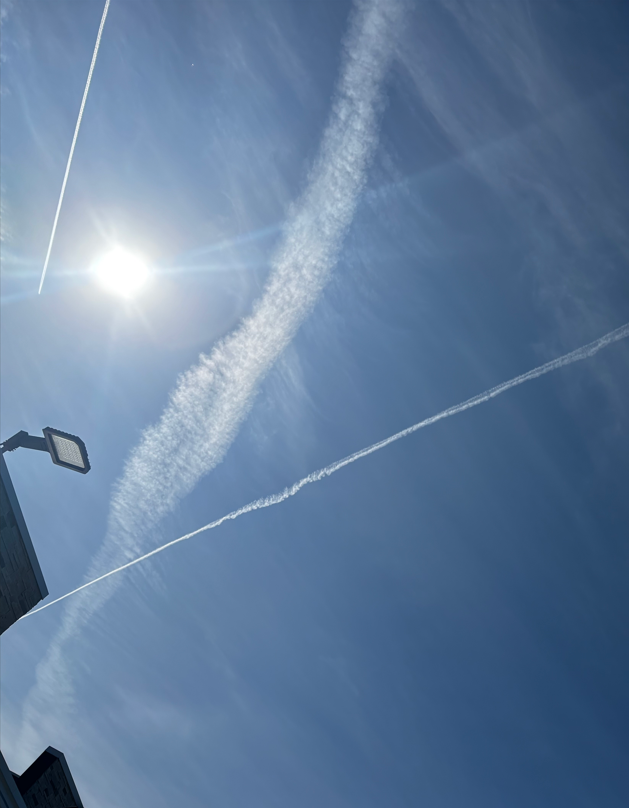 Battle Dwarf tweet media