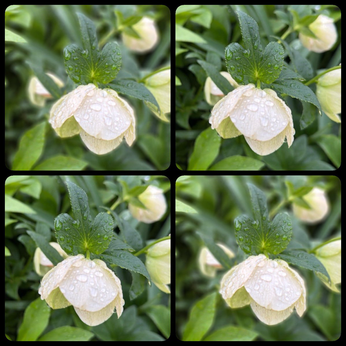 むっちゃん tweet media