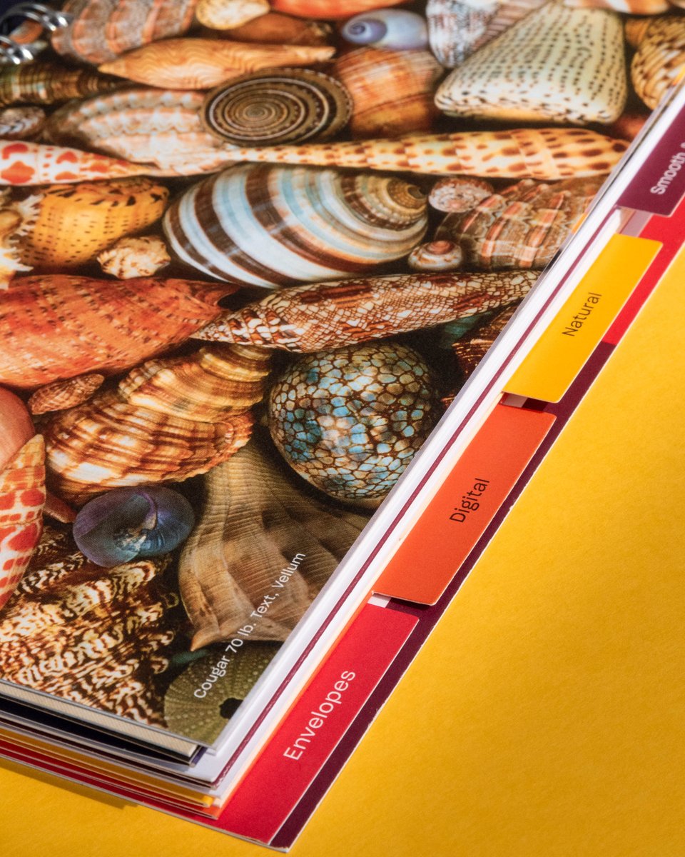 Anchor Paper Company tweet media