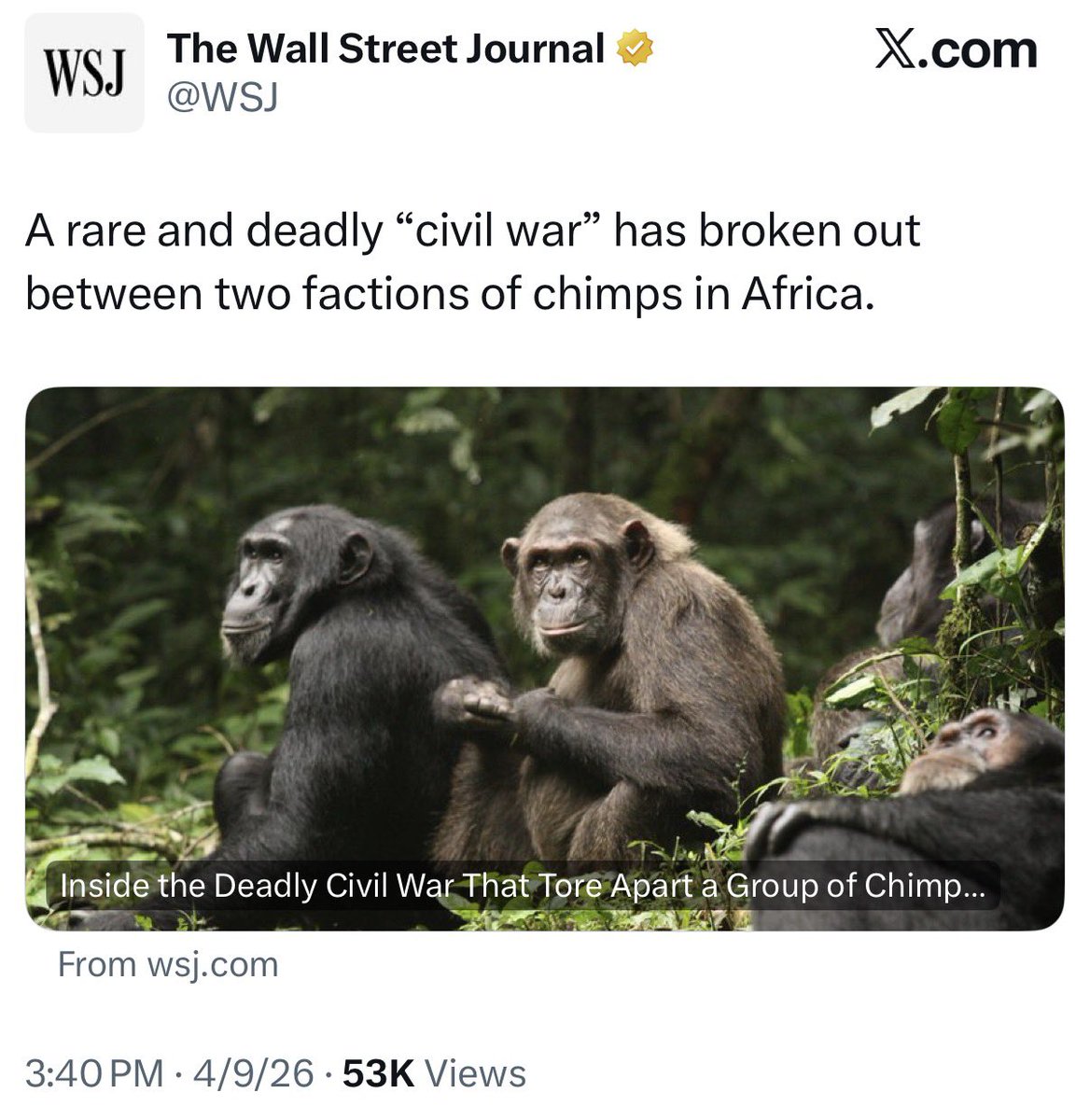 ALX 🇺🇸 tweet media