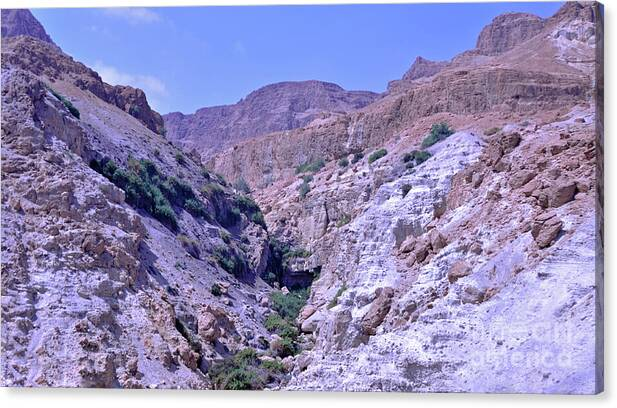 Lydia Holly tweet media