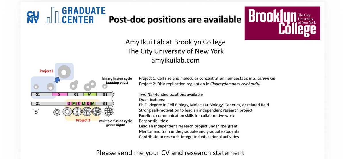 Amy Ikui Lab tweet media