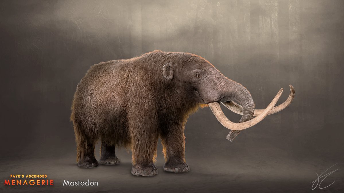 Mastodon is going to be a gatherer with a special harvesting ability tied to its dynamic hair growth system. 

Smaller than a mammoth, but a lot more adaptable, this iconic elephant relative will be coming to my mod Faye's Proboscideans!

#arkmodding #ARKSurvivalAscended
#playARK