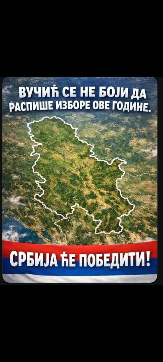 Sara Milosavljević tweet media