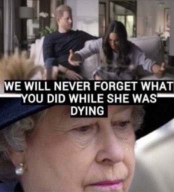 DEE MECKLIN tweet media