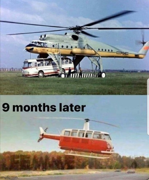 Steve 🕊 tweet media