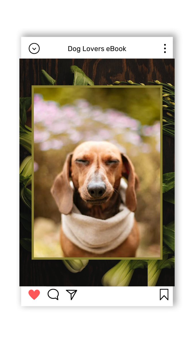 chander65698221's tweet photo. https://t.co/IUrTmX4wIV
Ultimate Dog Health Guide: Boost Your Dog’s Happiness &amp; Longevity Naturally
Discover the ultimate dog health guide packed with expert tips on nutrition, exercise, and wellness to keep your dog happy, active, and healthy for years.
 dog health guide, https://t.co/IxyZXinNzP