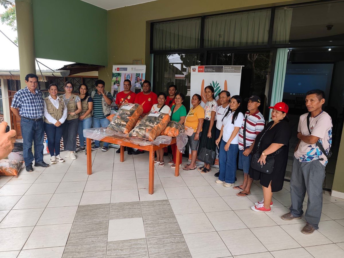 IiapPeru's tweet photo. #Notadeprensa | IIAP entregó 450 kilos de carne de pescado de especies nativas como el paco y la gamitana a organizaciones de apoyo social y comunitario en San Martín.
📷 Conoce más aquí: https://t.co/7I1XkJMtZx
#IIAP #AmazoníaSostenible #SeguridadAlimentaria #Piscicultura https://t.co/NsS5mjosGk