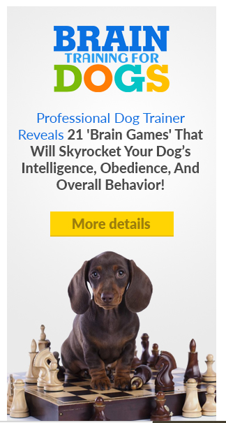 chander65698221's tweet photo. https://t.co/IUrTmX4wIV
 Dog Health Mastery: The Ultimate Guide to a Happy and Healthy Pet
 Transform your dog’s life with expert-backed tips on nutrition, fitness, and preventive care for optimal health and happiness.
dog health mastery, healthy dog tips, https://t.co/5wVY2PII1z