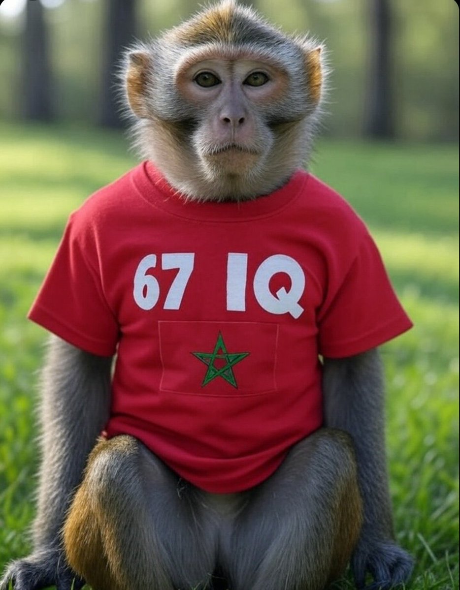 𝐊𝐚𝐲.𝐨𝐭𝐟 tweet media