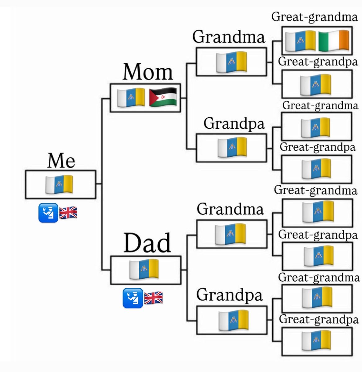 Aarón 🌴 tweet media
