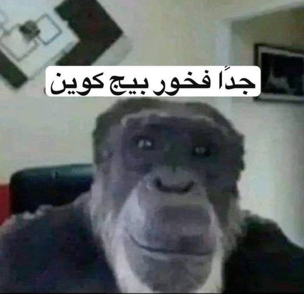 ويلي | Waleed Alshamali 🧠 tweet media