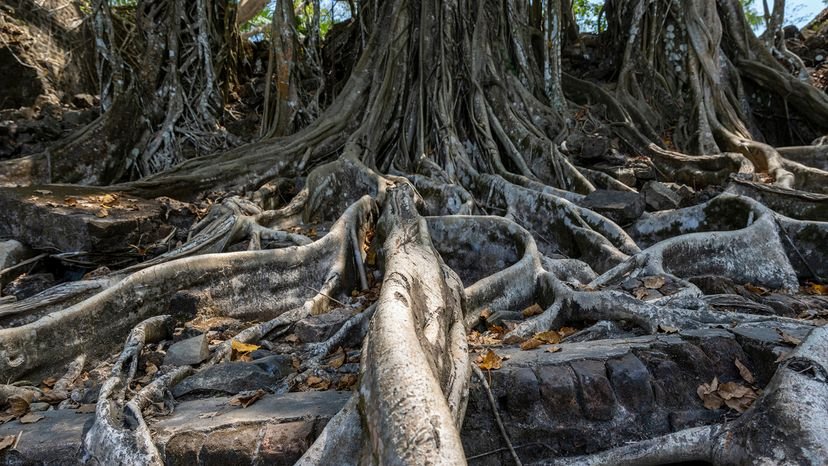 Gaurav Sabnis tweet media