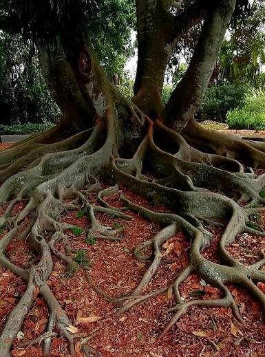 Gaurav Sabnis tweet media