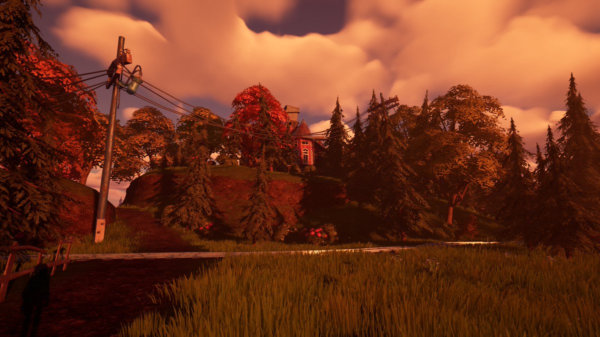 jaythefrog71 tweet media