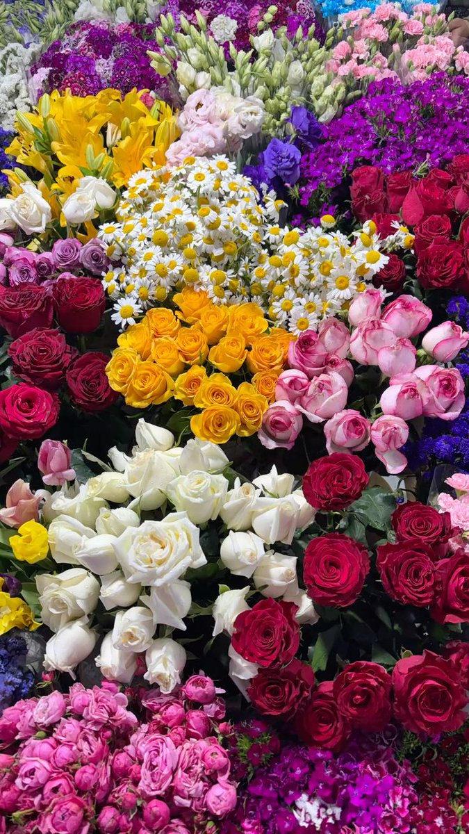 explorebeauty12's tweet photo. Which of these is your favorite flower? https://t.co/7om3LrNG91