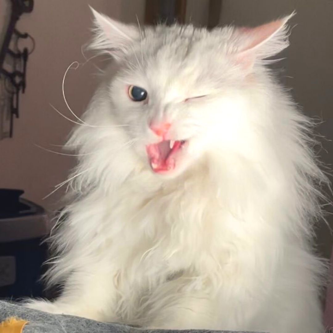 drew ⋆˚࿔ tweet media