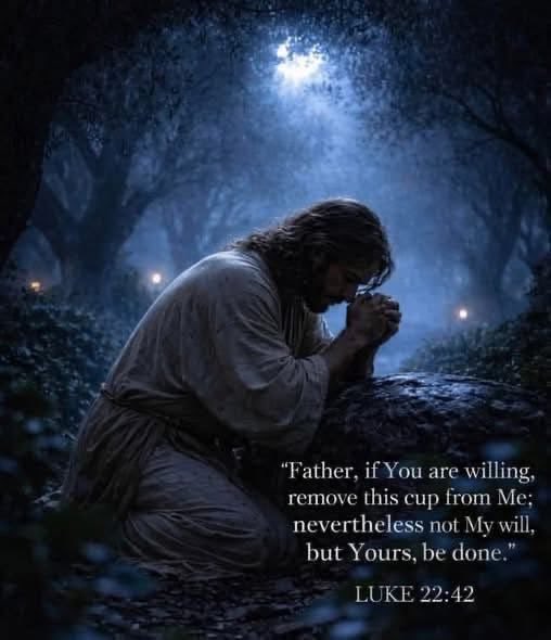 Jesus Christ Is God tweet media