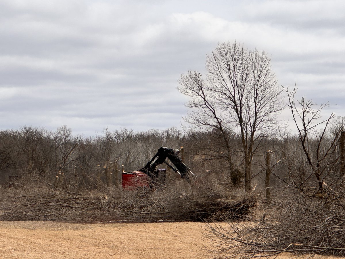 Stearns County MN tweet media