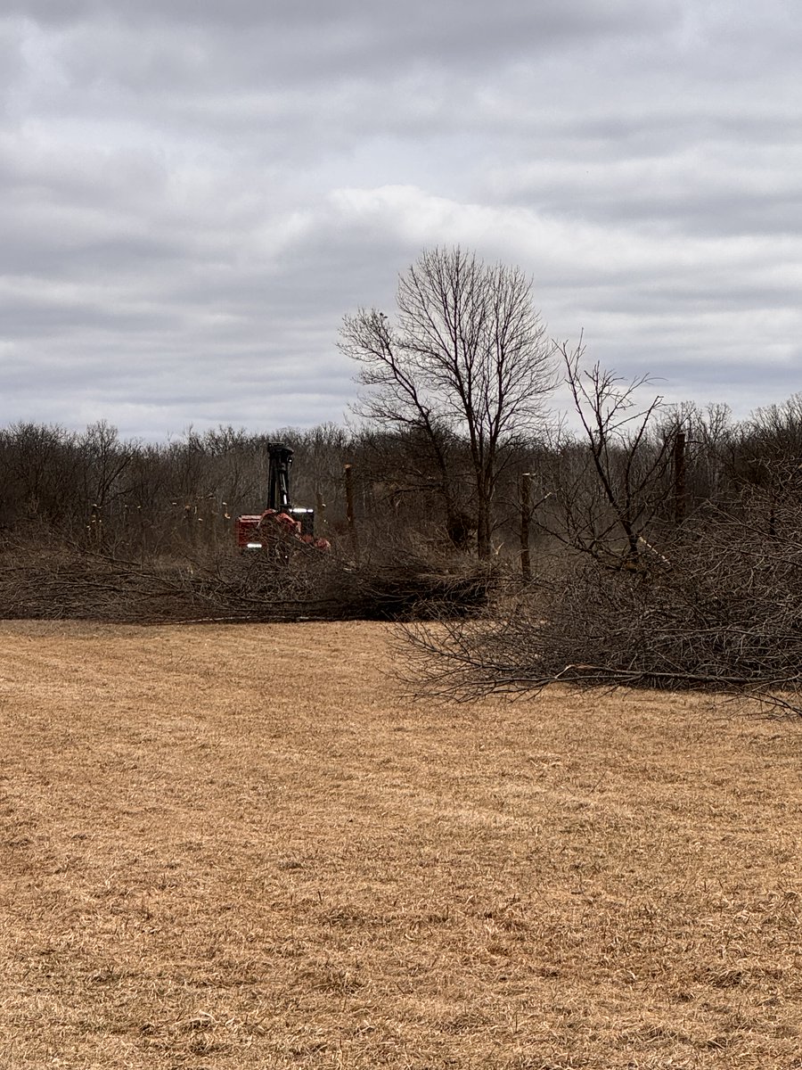 Stearns County MN tweet media