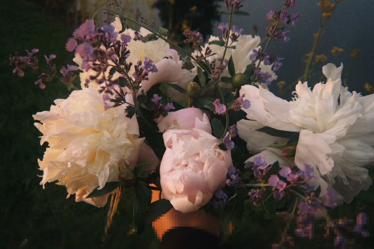 ✮⋆˙ (@dmugg7) on Twitter photo 