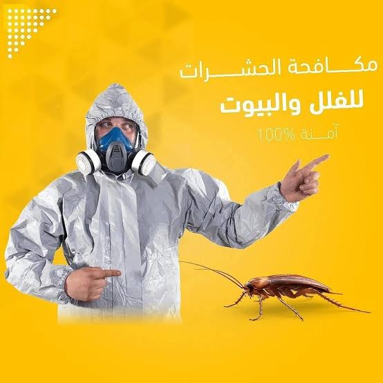 dd__bb_s's tweet photo. شركة تنظيف فلل بالرياض
شركة تنظيف شقق بالرياض
شركة تنظيف كنب بالرياض
شركة تنظيف مجالس بالرياض
شركة مكافحة حشرات بالرياض
شركة تنظيف مكيفات بالرياض
شركة تنظيف خزانات بالرياض 
شركة رش مبيدات بالرياض
شركة نقل عفش بالرياض
ربط وتساب 👇
https://t.co/tgjyc3Wk2g https://t.co/I02DJhe9MB