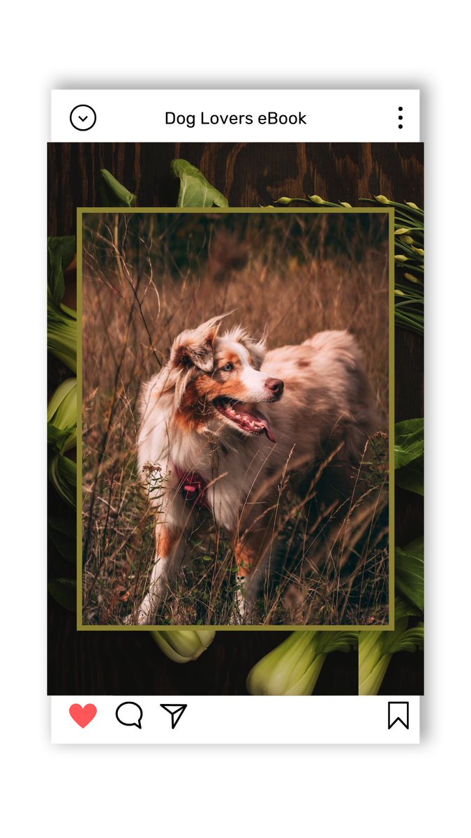 chander65698221's tweet photo. https://t.co/IUrTmX4wIV
Enhance Your Dog’s Health &amp; Happiness: Complete Dog Care Blueprint
 Unlock the secrets to raising a healthy and happy dog with this all-in-one guide covering diet, exercise, grooming, and mental wellness.
dog happiness, dog health care, dog diet tips, https://t.co/uYK8ydaehe