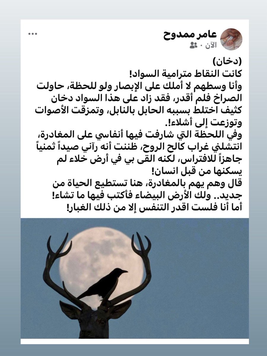 عامر ممدوح tweet media