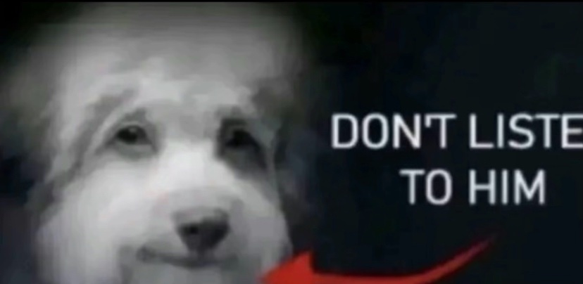 Mighty the Armadillo tweet media