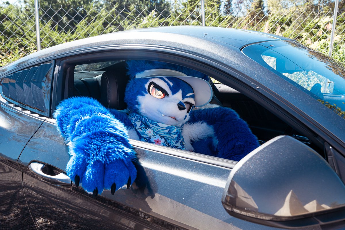 帕洛特★Paroto🐕🎙🔜Furward兽行迹 tweet media