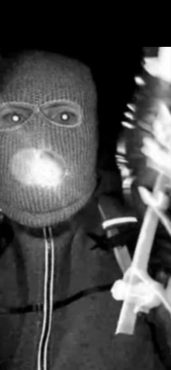 MaryHasAnAlibi tweet media