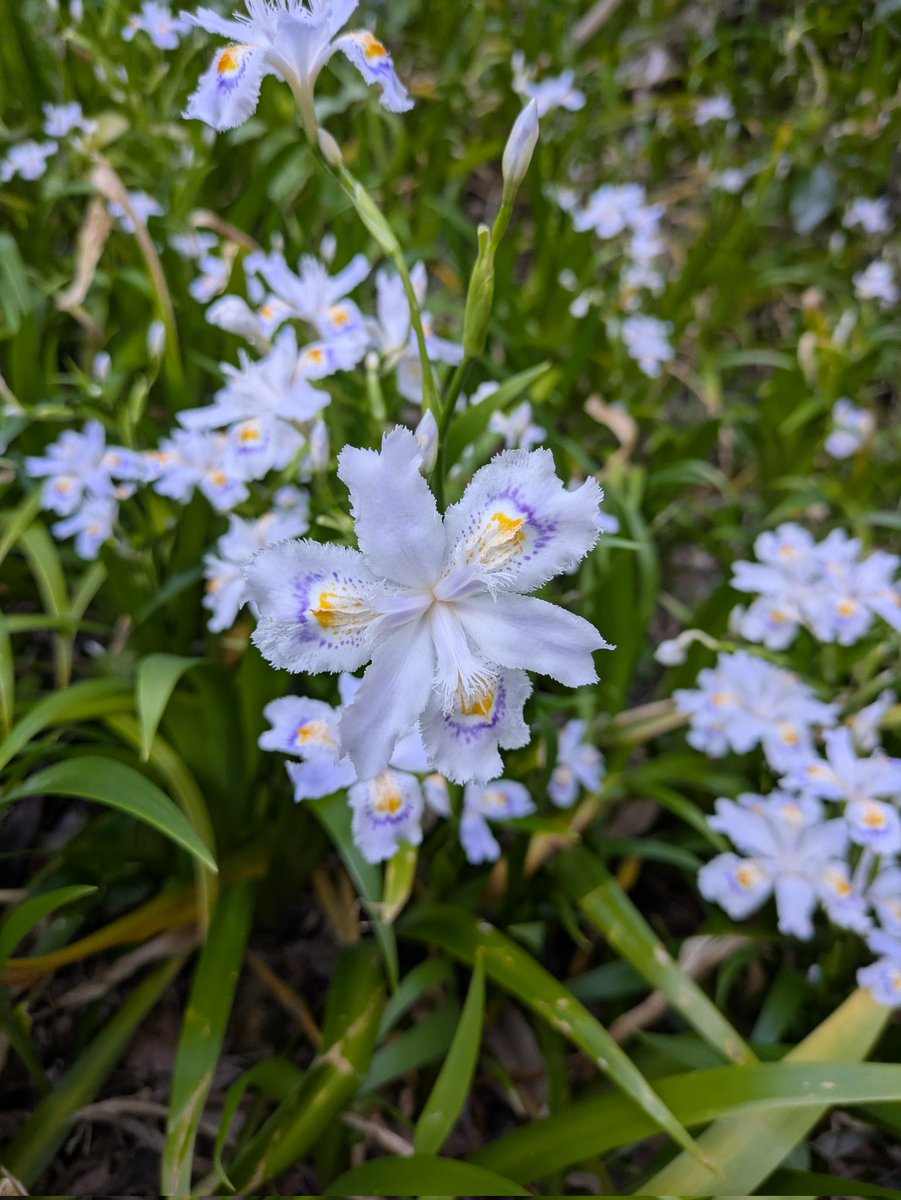 MINAちわCamp☆ tweet media