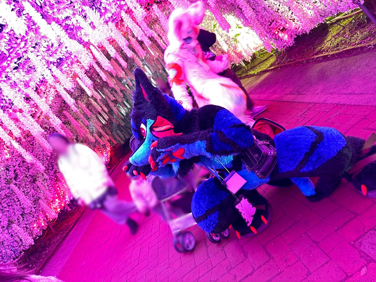 ラルフォーとリュケアとマヴロス tweet media